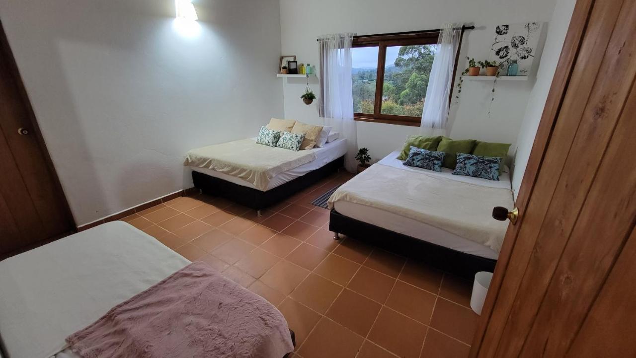 Finca Django Near Airport Jose Maria Cordoba Villa Rionegro Eksteriør bilde