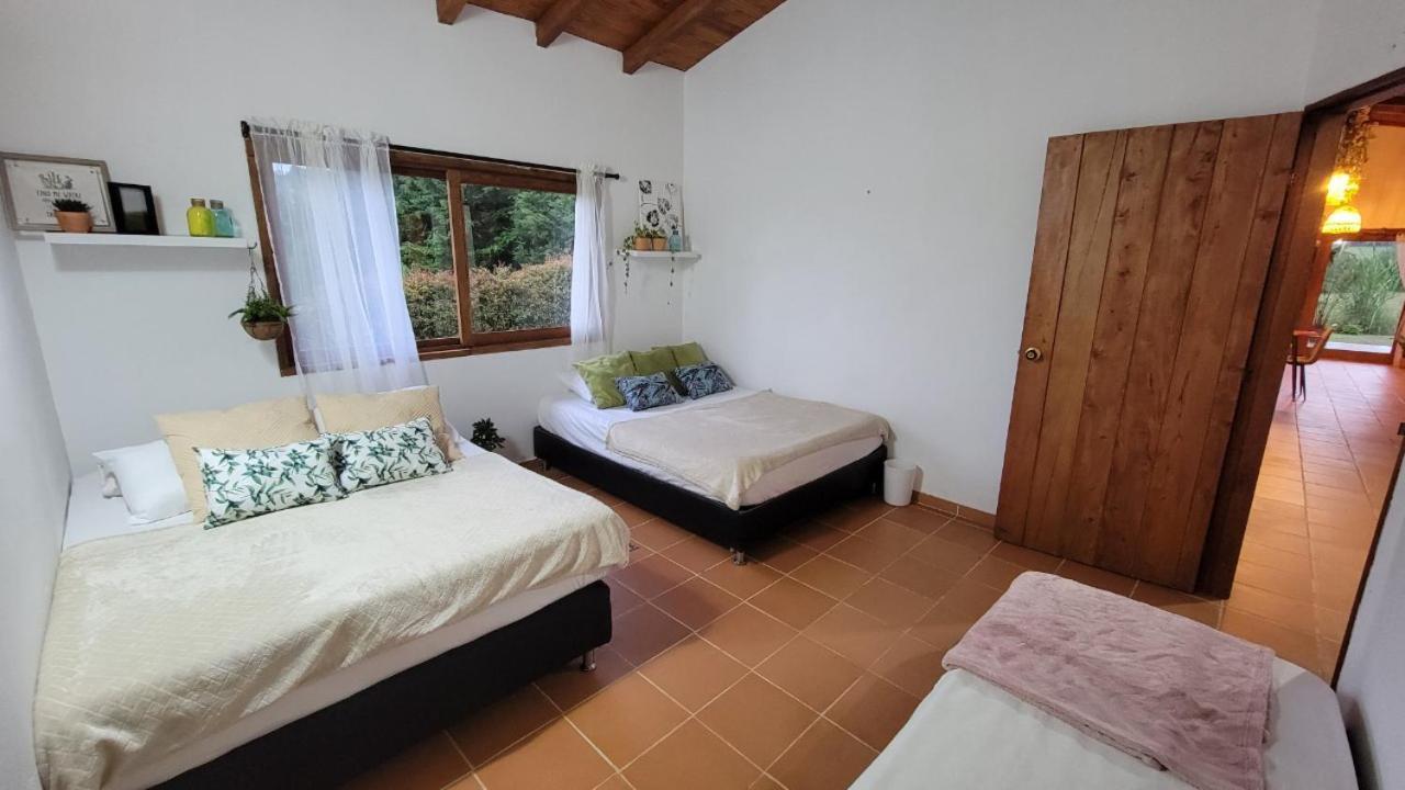 Finca Django Near Airport Jose Maria Cordoba Villa Rionegro Eksteriør bilde